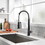 Faucet for Kitchen Sink, Black Kitchen Faucet with Pull Down Sprayer, Modern Commercial Spring Pull-Out Kitchen Sink Faucet W1932P154734