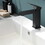 Black Bathroom Faucet, Brushed Black Faucet for Bathroom Sink, Black Single Hole Bathroom Faucet Modern Single Handle Vanity Basin Faucet W1932P156128