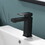 Black Bathroom Faucet, Brushed Black Faucet for Bathroom Sink, Black Single Hole Bathroom Faucet Modern Single Handle Vanity Basin Faucet W1932P156128
