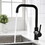 Kitchen Faucet Single Handle 1 Hole Kitchen Sink Faucets W1932P171824