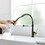 Commercial Black and Gold Kitchen Faucet with Pull Down Sprayer, Single Handle Single Lever Kitchen Sink Faucet W1932P172321