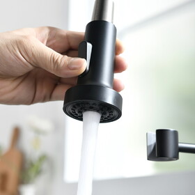 Commercial Black and Nickle Kitchen Faucet with Pull Down Sprayer, Single Handle Single Lever Kitchen Sink Faucet W1932P172324