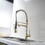 Double Handles Deck Mount Spring Pull Out Sprayer Kitchen Faucet with Clean Water Outlet in Brushed Gold W2053123509