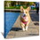 Customize Canvas Prints with Your Photo Canvas Wall Art- Personalized Canvas Picture, Customized to Any Style, Gifts for Family, Wedding, Friends, Home Decoration, Pet/Animal, W2060134065
