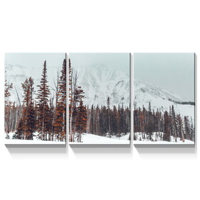 3 Panels Framed Winter Forest Canvas Wall Art Decor,3 Pieces Mordern Canvas Decoration Painting for Office,Dining room,Living room, Bedroom Decor-Ready to Hang W2060P175680