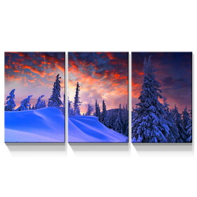 3 Panels Framed Winter Forest Canvas Wall Art Decor,3 Pieces Mordern Canvas Decoration Painting for Office,Dining room,Living room, Bedroom Decor-Ready to Hang