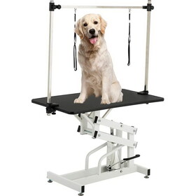 43 inch Adjustable Heavy Type Hydraulic Pet Dog Grooming Table Upgraded Professional Drying Table Heavy Duty Frame with Adjustable Arm and Noose W206S00003