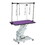 42.5Inch Hydraulic Pet Grooming Table With"H" Arm Purple W206S00006