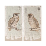 Set of 2 Lilith Owl Prints with Distressed Look, Rectangle Animal Hanging Wall Art 39.5x20
