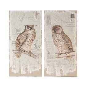 Set of 2 Lilith Owl Prints with Distressed Look, Rectangle Animal Hanging Wall Art 39.5x20" W2078P155210