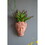 7x5.5x9" Visage Head Bust Planter, Brown - Home Wall Planter W2078P201064