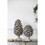 D7x10.5" Table Decor, Pinecone W2078P360279