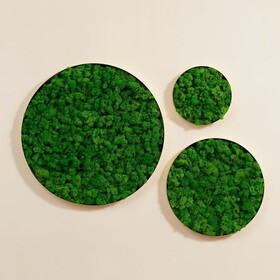 Round Framed Moss Wall Decor, only the Large pc W2117132484