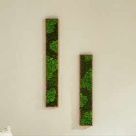 Rectangular Mixed Moss Wall Art, only the Medium pc W2117132485