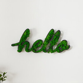 HELLO Letter Art Moss Wall Decor W2117132608