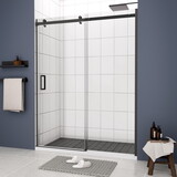 Glass shower door, sliding door, with 5/16