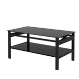 Glass Lift Top Coffee Table, Modern Simple 2-Layer Tempered Glass Coffee Table for Living Room, Black W2181P167972