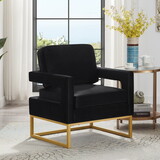 Modern Style Accent Chair with Gold Metal Base, Velvet Upholstered Leisure Chair with Open Armrest, Armchair, Black W2186P148522