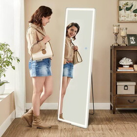 3 Color Lighting Mirror with LED Lights, 64"x21" Lighted Floor Standing Mirror with Stand W2201138015