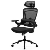 High Back Desk Chair with Adjustable Lumbar Support & Headrest,Comfortable Mesh Computer Chair with Soft Flip Up Arms, Adjustable Height and 120°Tilt,Black P-W2201P199905