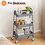 3 Tier Small Rolling Cart, Metal Utility Storage Organizer Kitchen Trolley Bathroom Laundry Room Bar Office Shelves W2201P250085