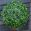 Outsunny 23.5" Artificial Boxwood Topiary Ball Tree, Fake Decorative Plant, Nursery Pot Included for Home, Balcony, Backyard and Garden W2225141233