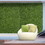 Outsunny Artificial Grass Wall Panel Backdrop, 12 20" x 20" Boxwood UV Protection Privacy Coverage Panels for Indoor & Outdoor Decor, Wall & Fence Covering, Milan Leaf & Flowers W2225141395