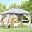 Outsunny 10' x 12' Outdoor Gazebo, Patio Gazebo Canopy Shelter w/ Double Vented Roof, Zippered Mesh Sidewalls, Solid Steel Frame, Grey W2225142547