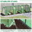 Outsunny 10' x 3' x 2.5' Mini Greenhouse, Portable Tunnel Green House with Roll-Up Zippered Doors, UV Waterproof Cover, Steel Frame, Green W2225142624