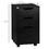 HOMCOM 3 Drawer Mobile File Cabinet, Rolling Printer Stand, Vertical Filing Cabinet, Black W2225142670