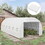 Outsunny 19.7' x 9.8' x 6.6' Plastic Greenhouse Cover Replacement, Heavy Duty Waterproof Tarp for Hoop House, Sheeting with 12 Windows, Door & Reinforcement Grid, White W2225P164096