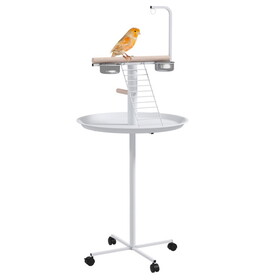 PawHut Bird Stand, Parrot Stand with Wheels, Perches, Stainless Steel Feed Bowls, Round Tray, Bird Play Stand for Indoor Outdoor, White W2225P166377