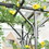 Outsunny 82" Decorative Metal Garden Trellis Arch with Durable Steel Tubing & Elegant Scrollwork, Perfect for Weddings