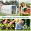 Outsunny 15' x 7' x 7' Walk-in Tunnel Greenhouse, Large Garden Hot House Kit with 6 Roll-up Windows & Roll Up Door, Steel Frame, White