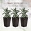 Outsunny Set of 3 Tall Planters with Drainage Hole, Outdoor Flower Pots, Indoor Planters for Porch, Front Door, Entryway, Patio and Deck, Brown