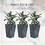Outsunny Set of 3 Tall Planters with Drainage Hole, Outdoor Flower Pots, Indoor Planters for Porch, Front Door, Entryway, Patio and Deck, Gray