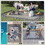 Outsunny Reversible Outdoor Rug, 9' x 12' Waterproof Plastic Straw Floor Mat, Portable RV Camping Carpet, Large Floor Mat for Backyard, Deck, Picnic, Beach, Black & Gray Border W2225P200442