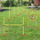 PawHut 3PCs Dog Agility Training Equipment, Outdoor Obstacle Course Starter Kit with Hoop, Hurdle, Weave Poles and Carrying Bag W2225P200740