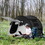 Outsunny Pop Up Tent, Instant Camping Tent with Porch and Carry Bag, 3000mm Waterproof, for 2-3 People, Black, (Poles Included) W2225P200772