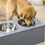 PawHut Elevated Dog Bowls, Raised Dog Bowl Stand with Storage, 2 Stainless Steel Bowls, Pet Feeding Station for Medium Dogs, Indoor Use, 23.6" x 11.8" x 9.4", Gray W2225P200774