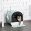 PawHut Cat Litter Box with Lid, Covered Litter Box for Indoor Cats with Tray, Scoop, Filter, 17" x 17" x 18.5", Green W2225P200781