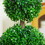 HOMCOM Artificial Plant for Home Decor Indoor & Outdoor Fake Plants Artificial Tree in Pot, 2 Ball Boxwood Topiary Tree for Home Office, Living Room Decor, Green W2225P217285