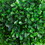 HOMCOM Artificial Plant for Home Decor Indoor & Outdoor Fake Plants Artificial Tree in Pot, 2 Ball Boxwood Topiary Tree for Home Office, Living Room Decor, Green W2225P217285