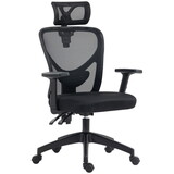 Vinsetto High Back Ergonomic Computer Home Office Chair, Mesh Task Chair with Lumbar Back Support, Reclining Function, Adjustable Headrest, Arms and Height, Black W2225P217484