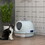 PawHut Covered Litter Box, Litter Box with a Lid, Scoop Enclosed Drawer & Skylight for Cats That's Easy to Clean, Blue W2225P217614