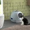 PawHut Covered Litter Box, Litter Box with a Lid, Scoop Enclosed Drawer & Skylight for Cats That's Easy to Clean, Blue W2225P217614