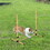 PawHut 6 Piece Dog Agility Training Equipment with Hurdle Bag and Whistle, Orange and White W2225P217636