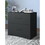2 -Drawer Lateral Filing Cabinet,Storage Filing Cabinet for Home Office, Black W2282140365