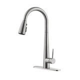 Kitchen Faucet with Pull Down Sprayer W2287142001