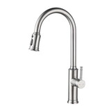 Kitchen Faucet with Pull Down Sprayer W2287142963